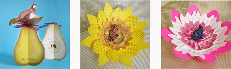 partridge_sunflower